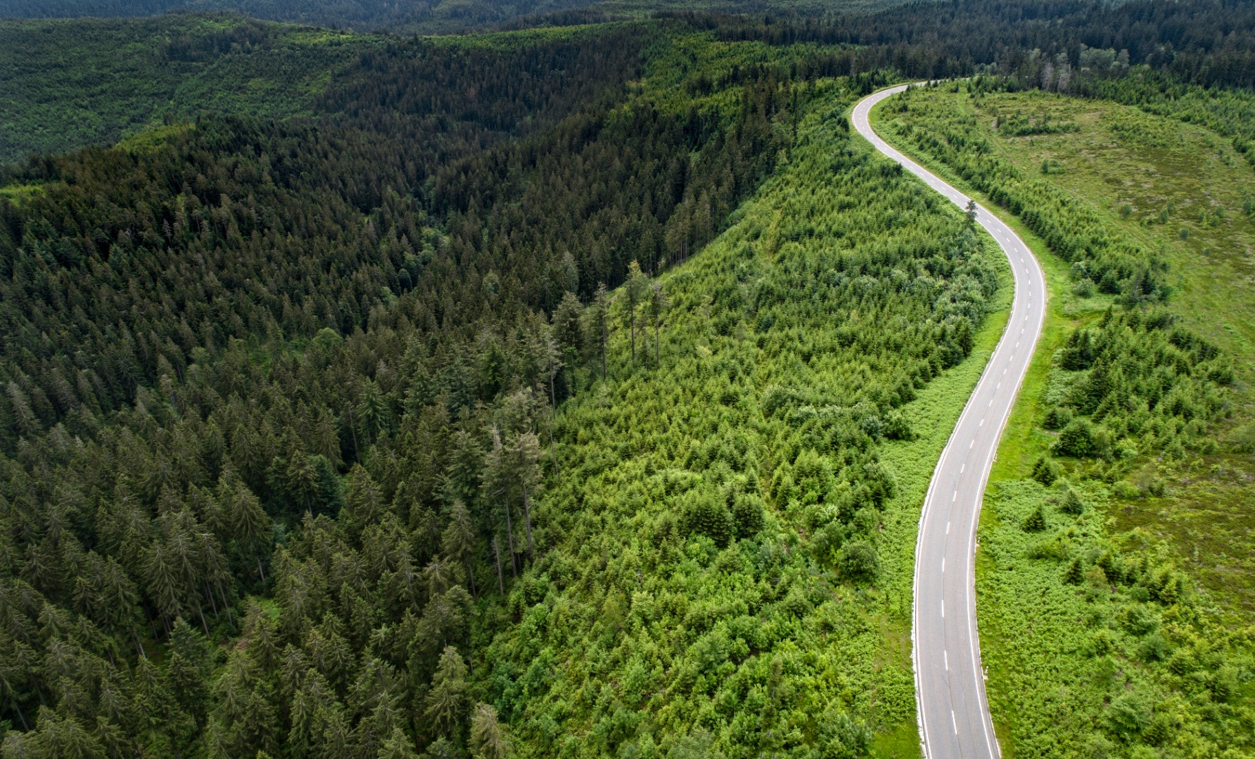 Aerial view of a winding road through a green forest